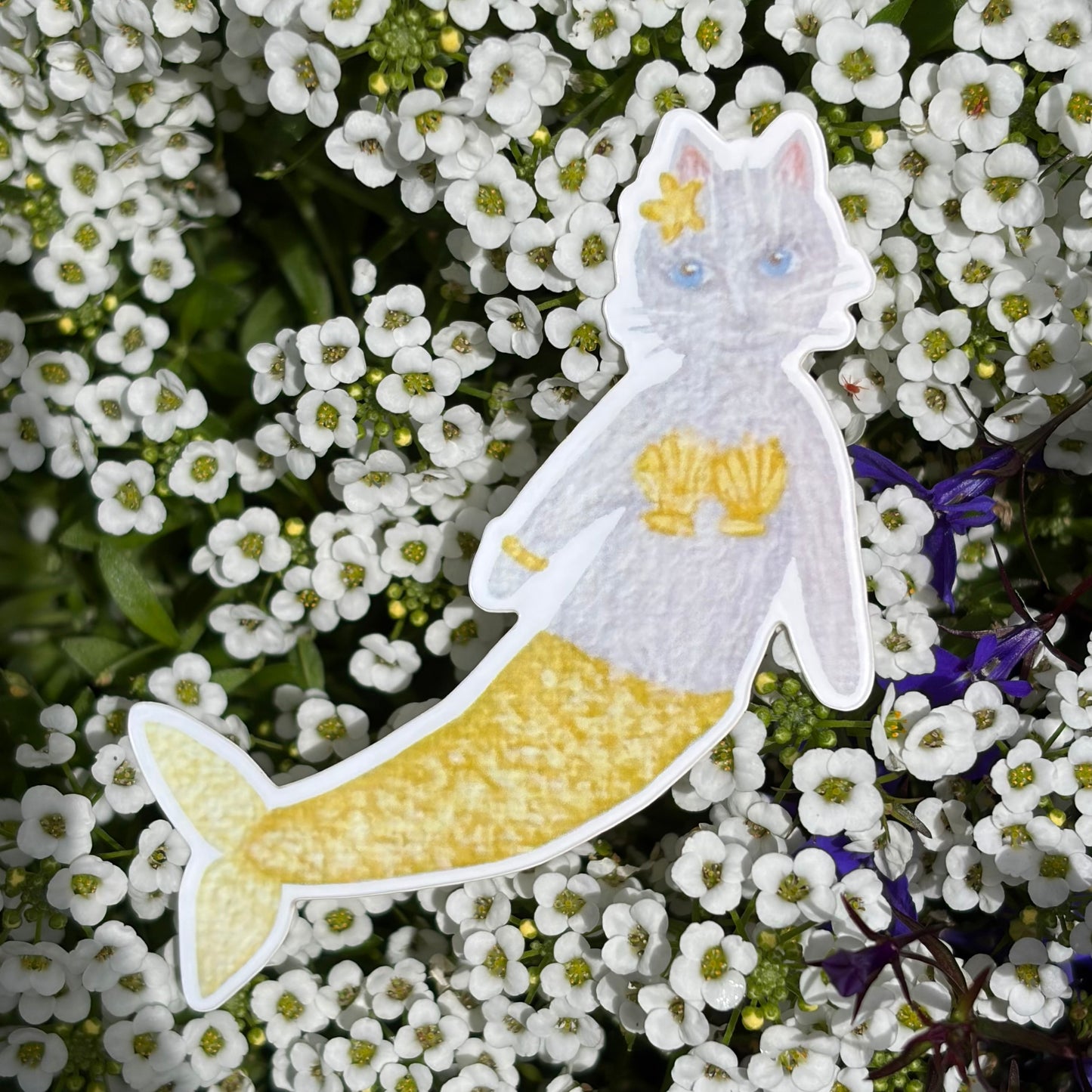“Yellow mercat” sticker
