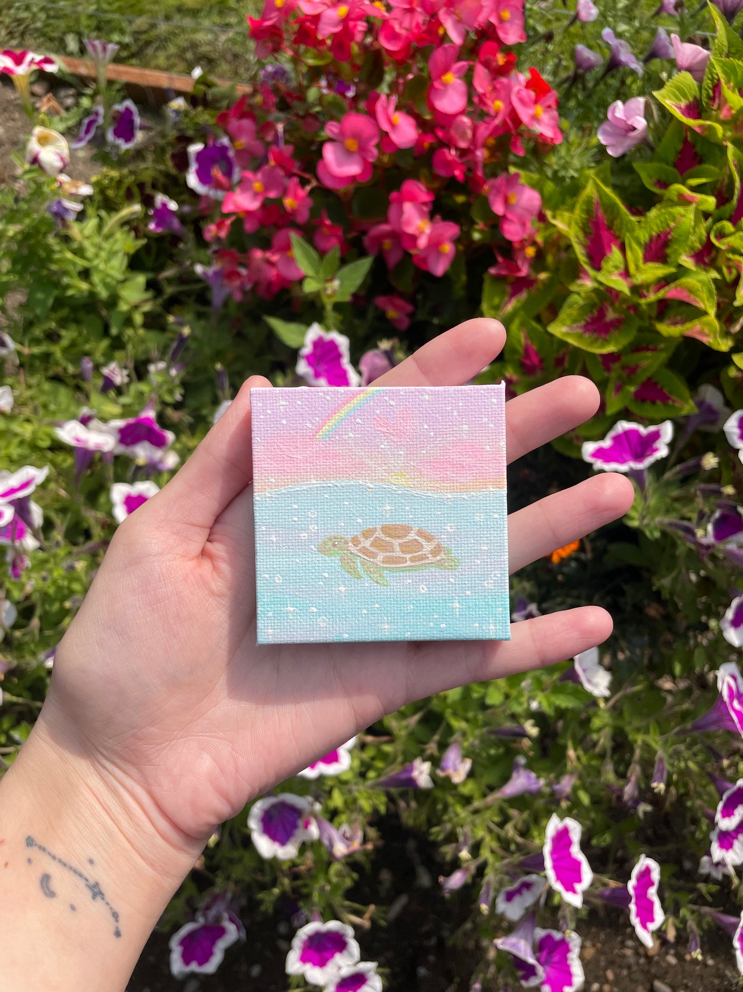 Mini sea turtle painting original