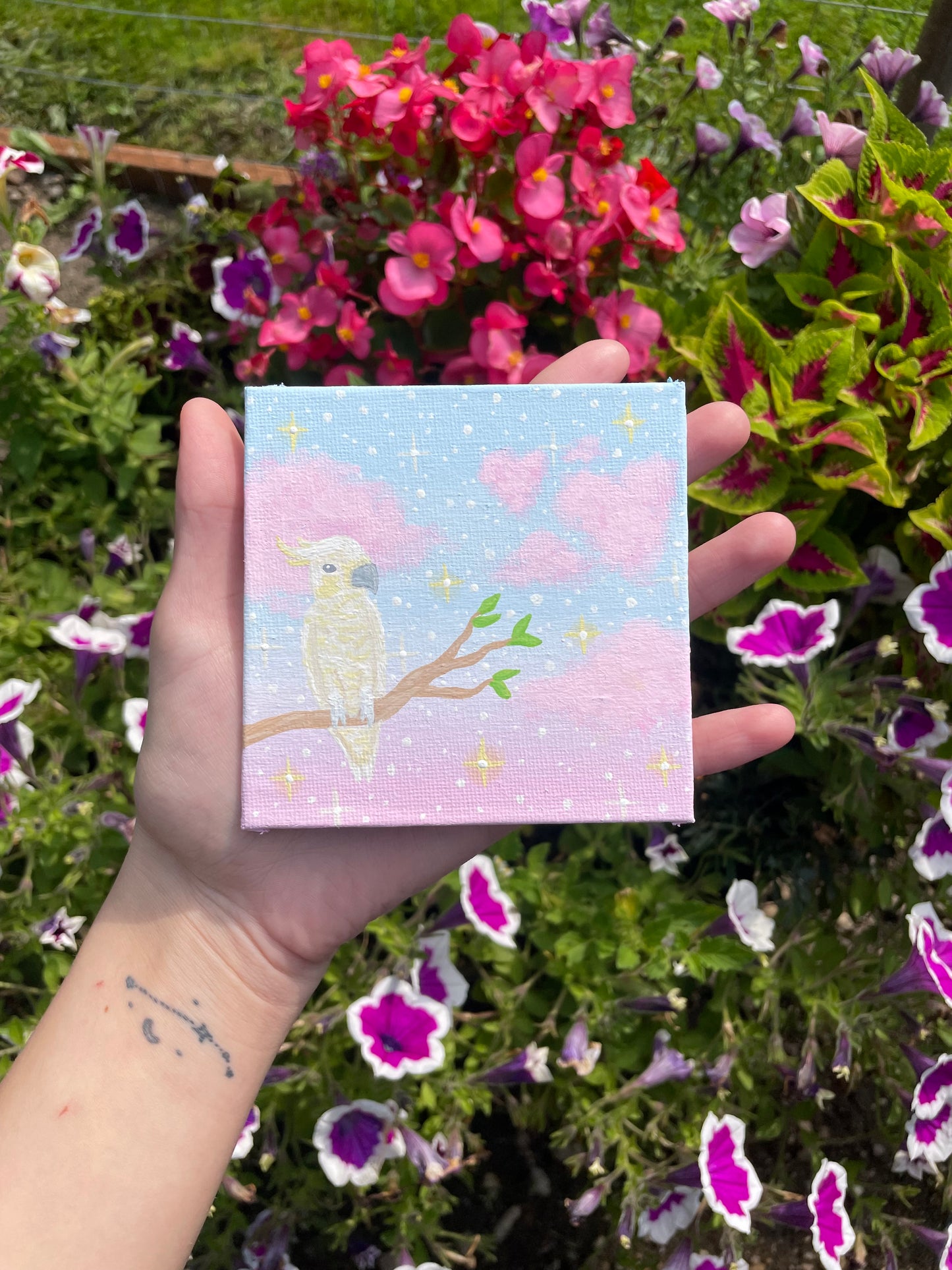 Mini parrot painting original