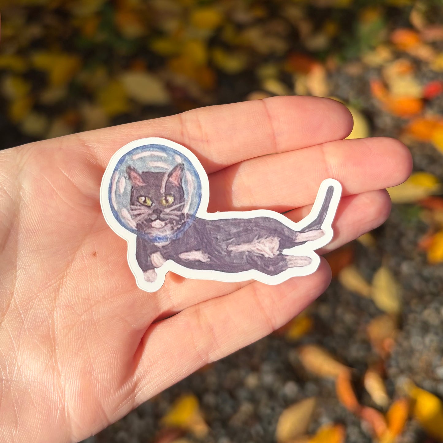 "Nova cat" sticker