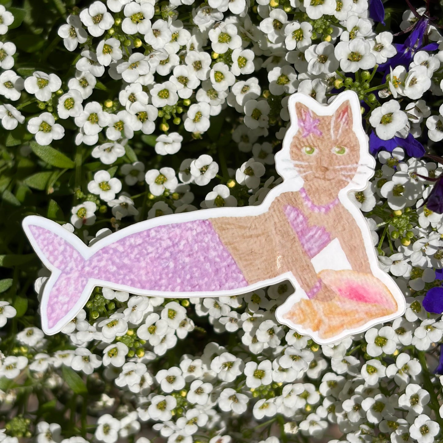 “Shell mercat” sticker