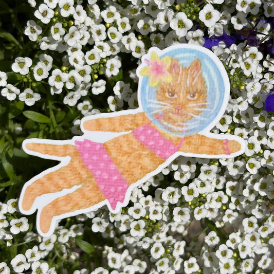 “Diving cat” sticker